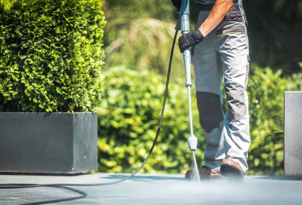 Best Window and Screen Pressure Cleaning in Morgan City, LA