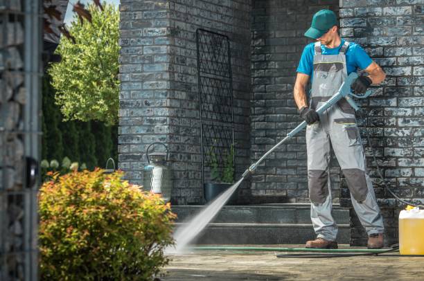 Best Driveway Cleaning and Restoration in Morgan City, LA