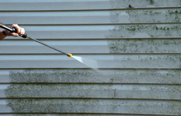 Best Residential Pressure Washing in Morgan City, LA